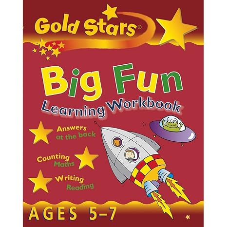 Gold Stars Big Fun Learning Workbook