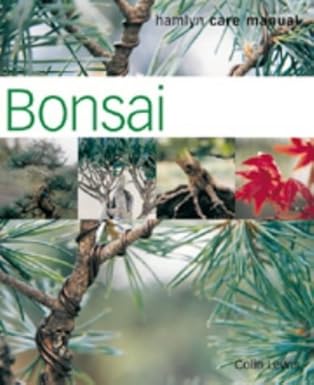 Bonsai