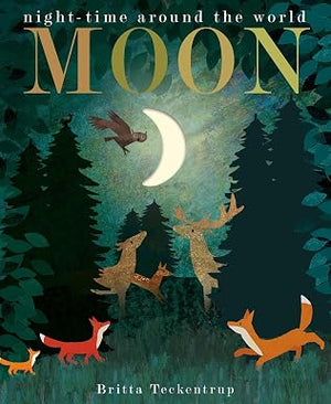 Moon: night-time around the world