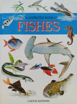 The Illustrated Book of Fishes