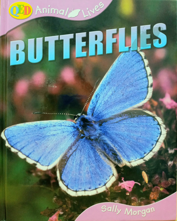 Butterflies (QED Animal Lives