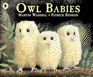Owl babies