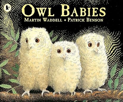 Owl babies