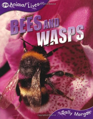 Bees and Wasps