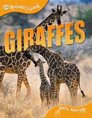 Giraffes