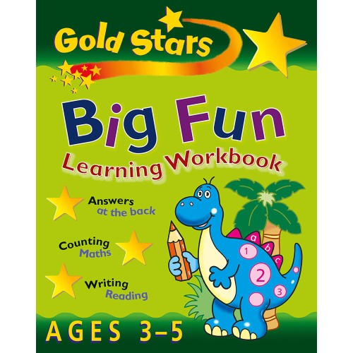 Gold Stars Big Fun Learning Workbook