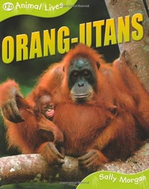 Orang-utans